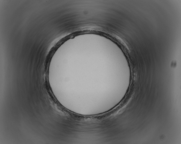 X0000091991117200710041124