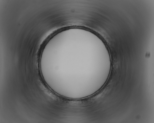 X0000091991118200710041124