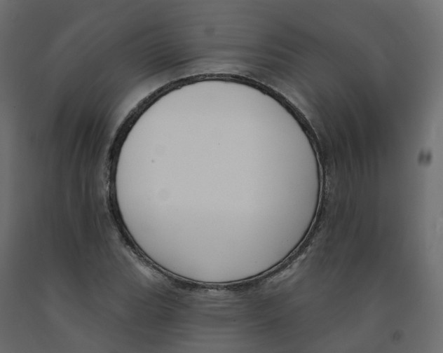 X0000091991119200710041124