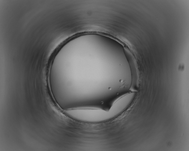 X0000091991120200710041124