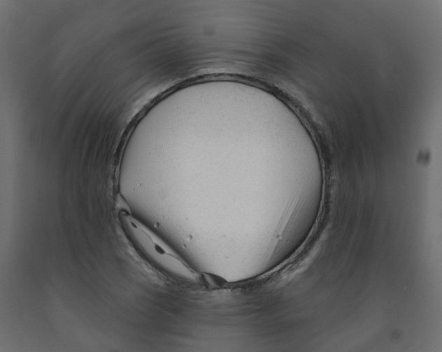 X0000091991121200710041124