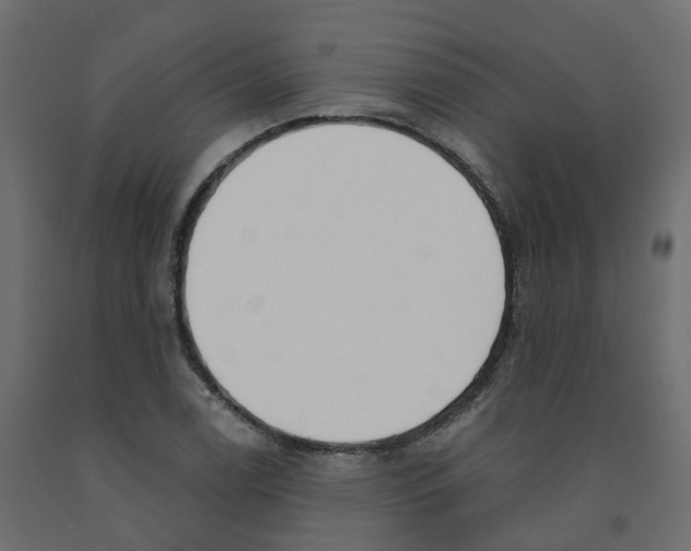 X0000091991122200710041124