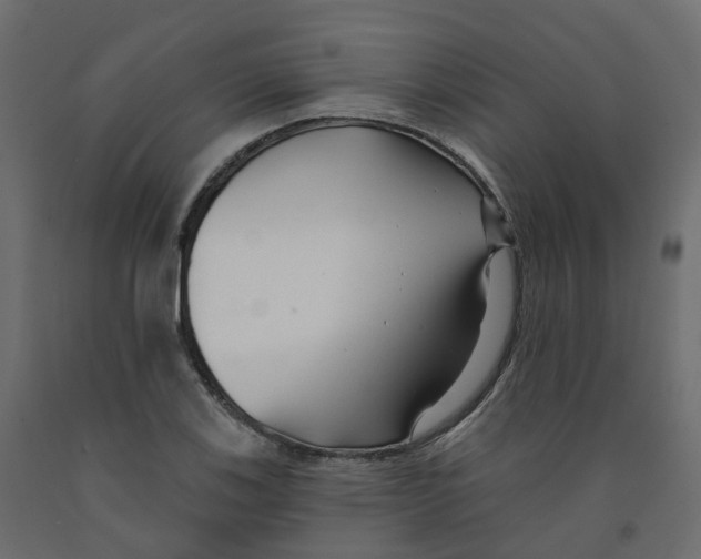 X0000091991123200710041124