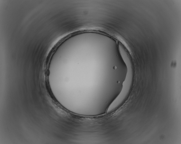 X0000091991124200710041125