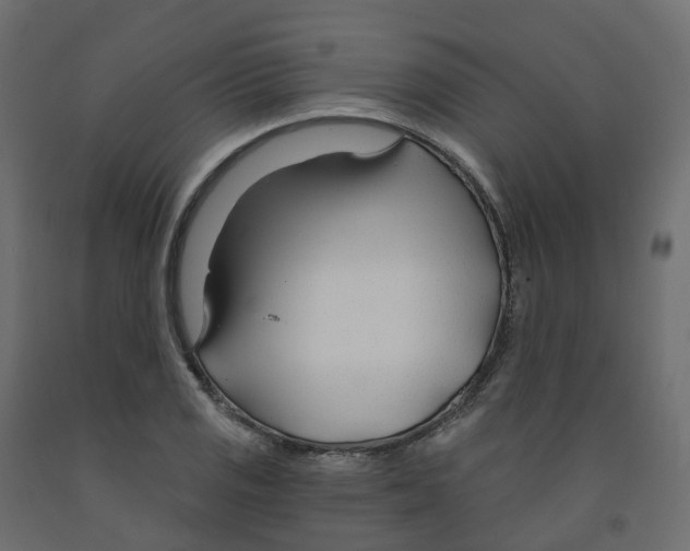 X0000091991125200710041125