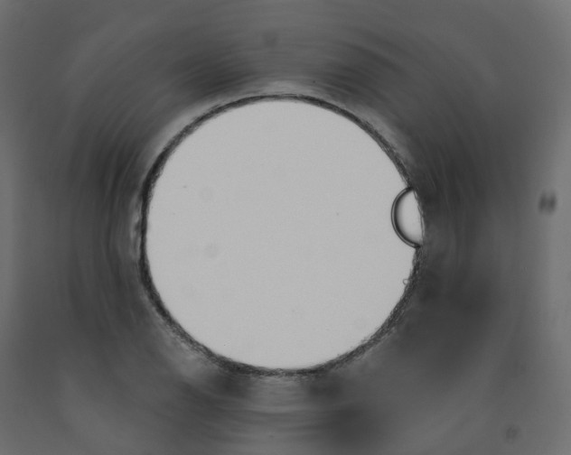 X0000091991126200710041125