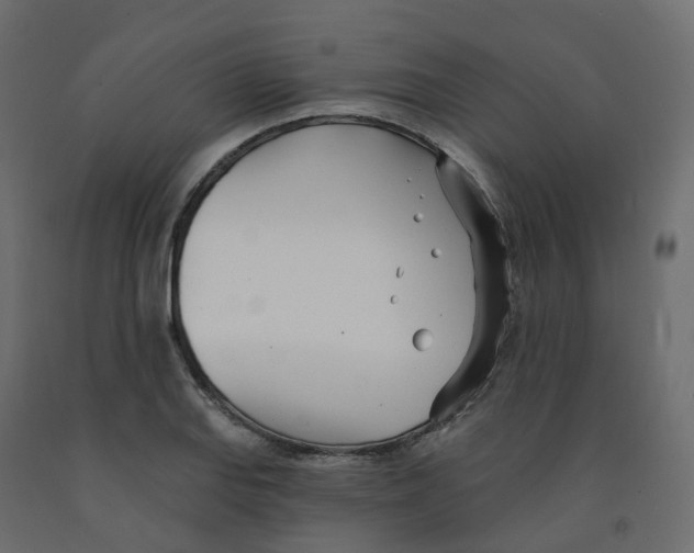 X0000091991127200710041125