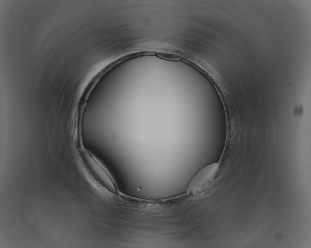 X0000091991128200710041125