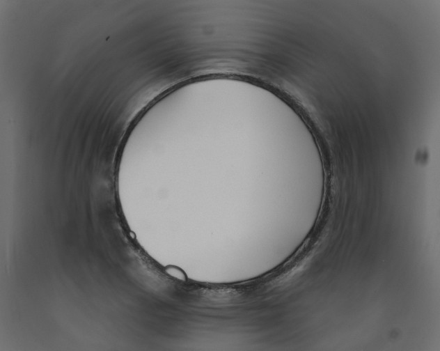 X0000091991129200710041125