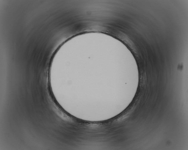X0000091991130200710041125