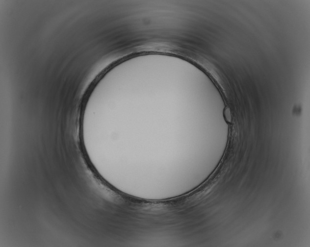 X0000091991131200710041125