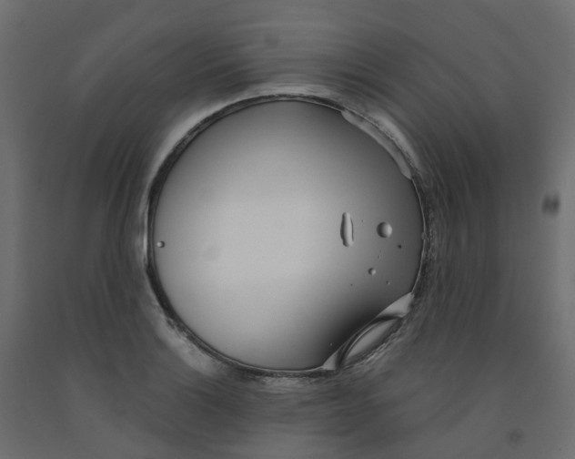 X0000091991132200710041125