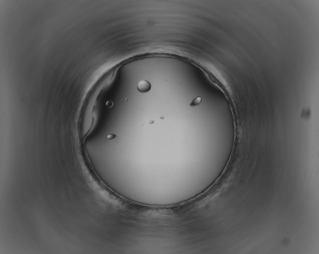 X0000091991133200710041125