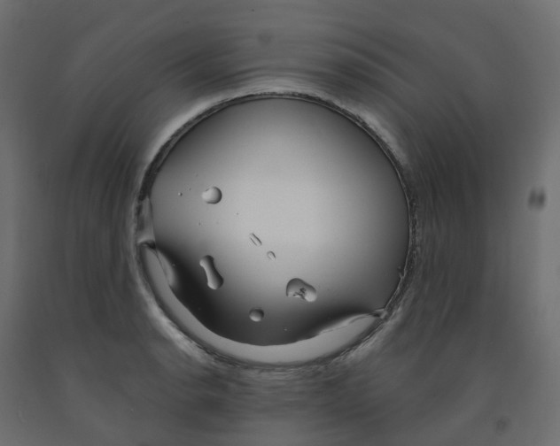 X0000091991134200710041125
