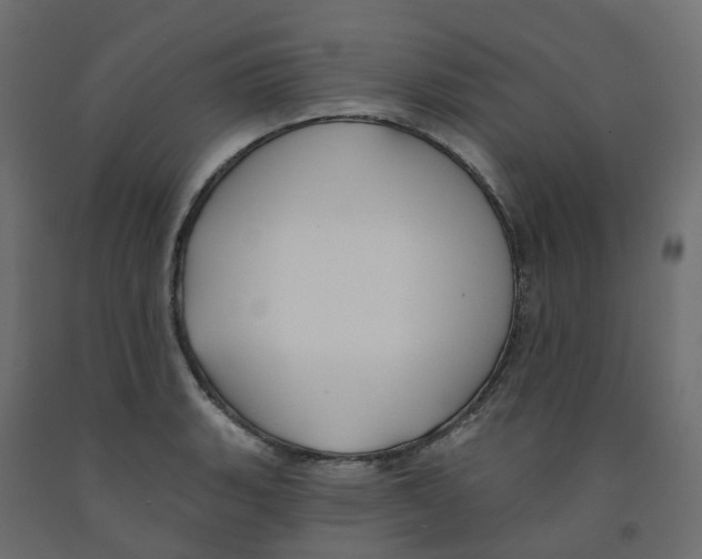 X0000091991135200710041125