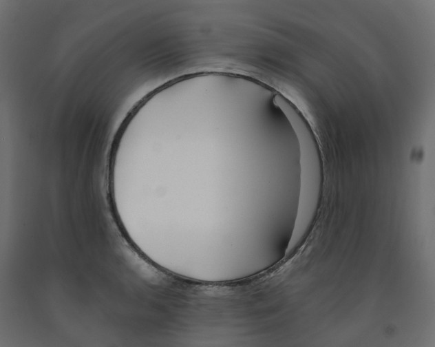 X0000091991136200710041125