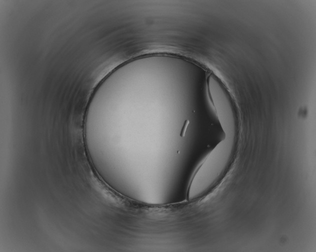 X0000091991137200710041125