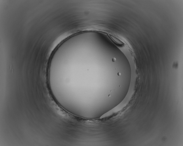 X0000091991138200710041125