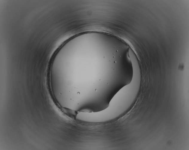 X0000091991139200710041125