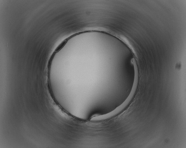 X0000091991140200710041125