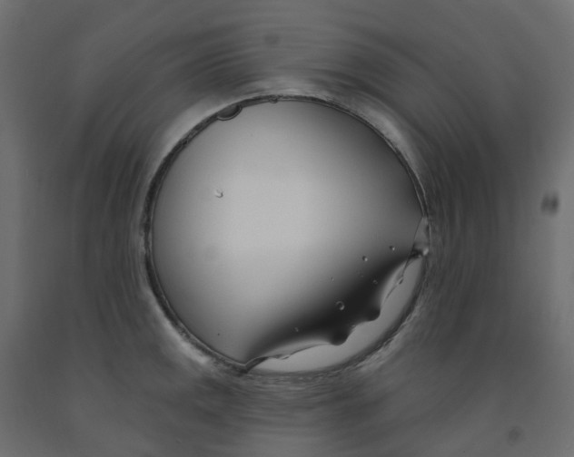 X0000091991141200710041125
