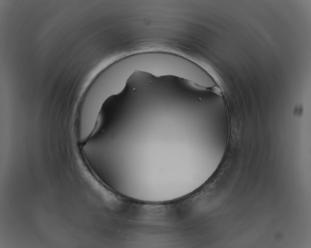X0000091991142200710041125