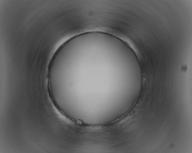 X0000091991143200710041125