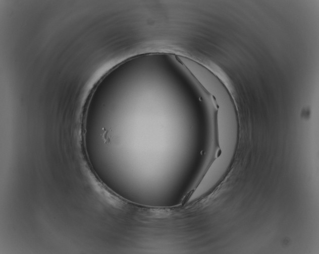 X0000091991144200710041125