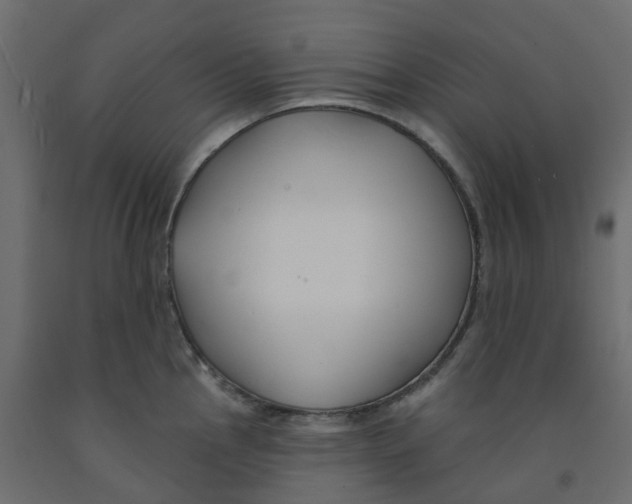 X0000091991145200710041125