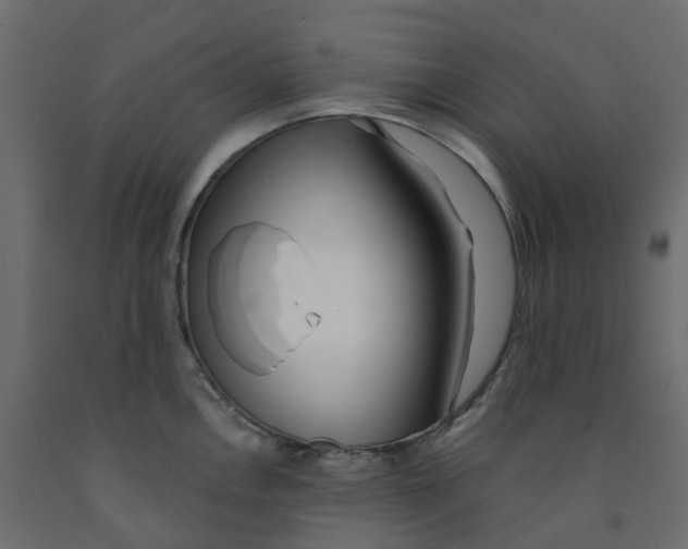 X0000091991146200710041125