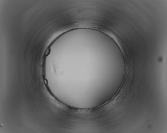 X0000091991147200710041125