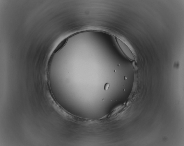 X0000091991148200710041125