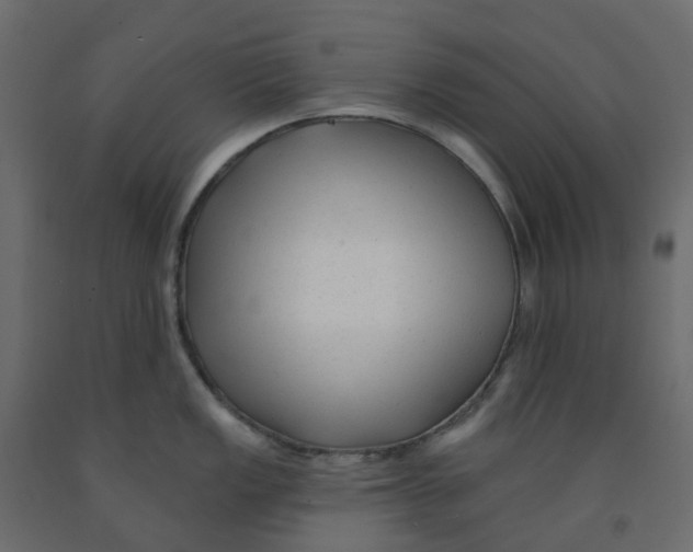 X0000091991149200710041125