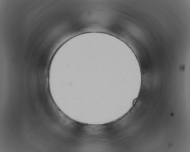 X0000091991150200710041125