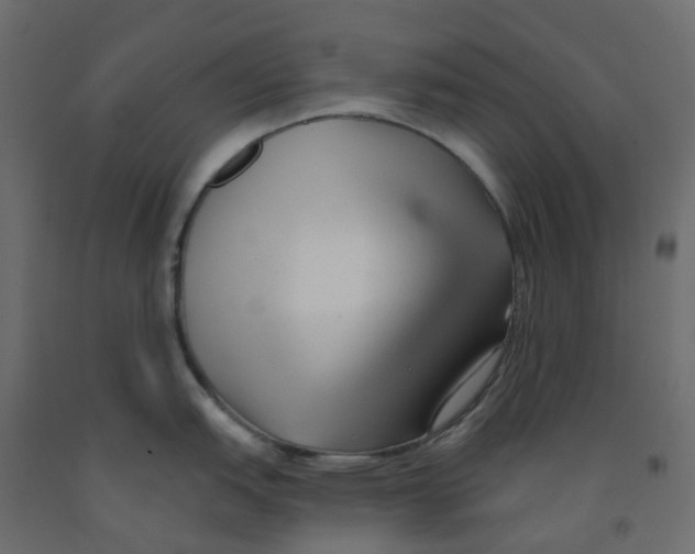 X0000091991151200710041125