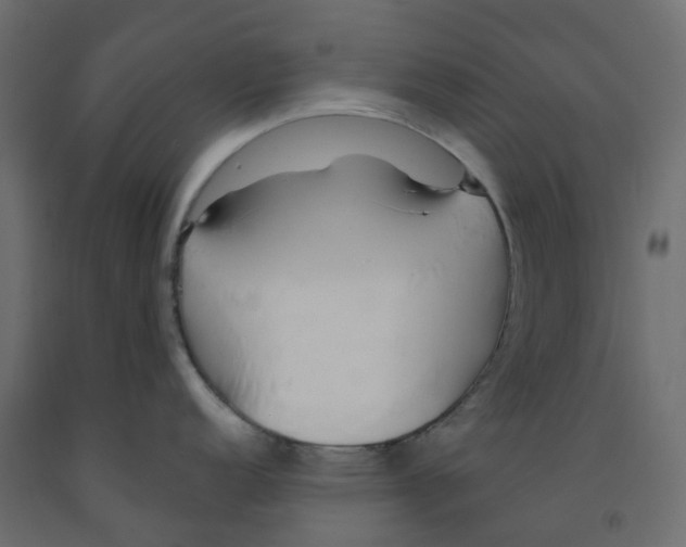 X0000091991152200710041125
