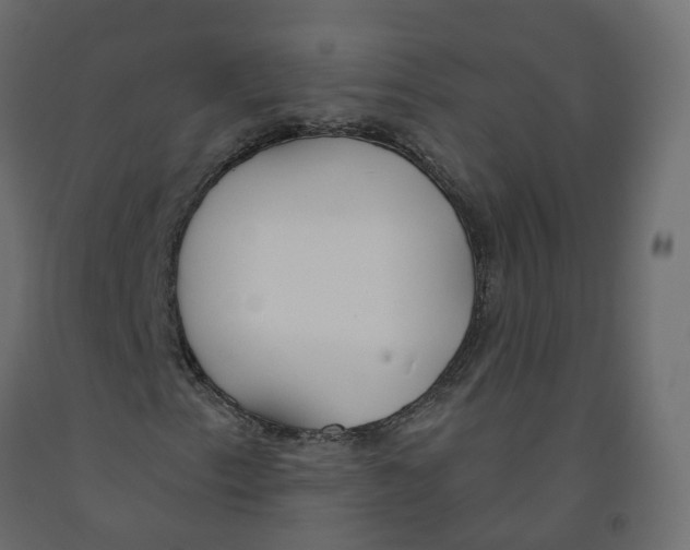 X0000091991153200710041124