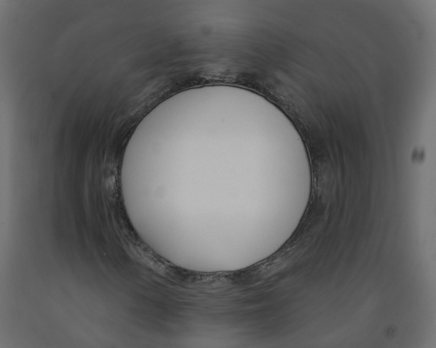 X0000091991154200710041124