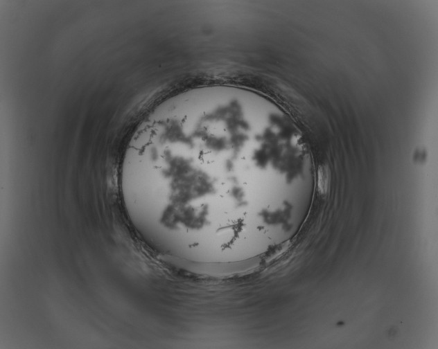 X0000091991155200710041124