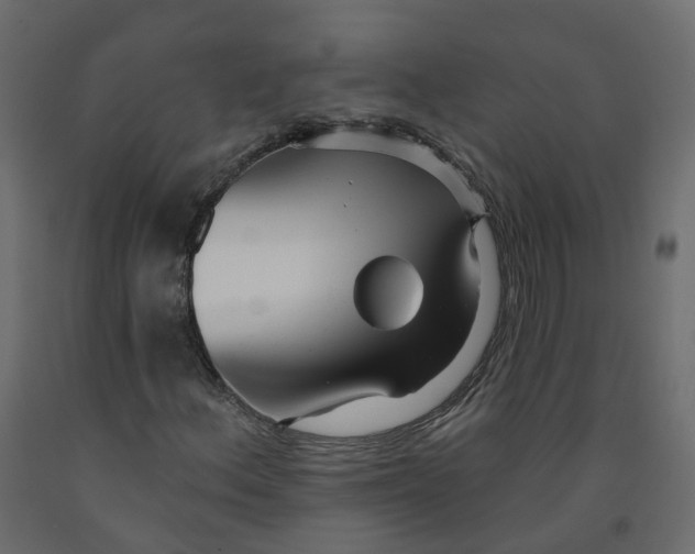 X0000091991156200710041124