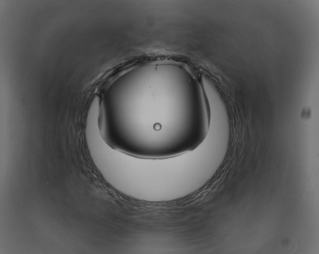 X0000091991157200710041124