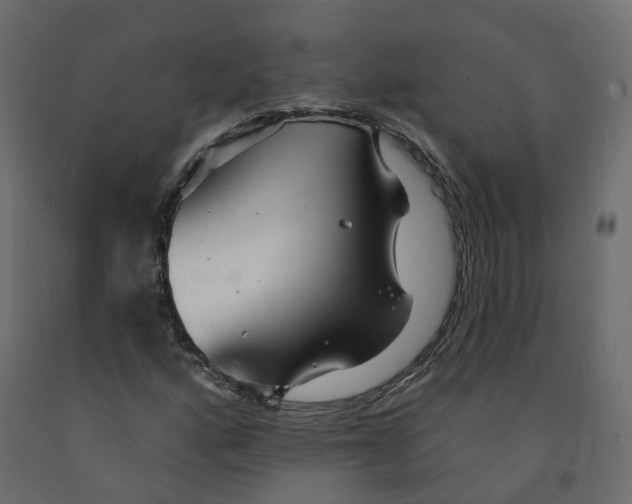 X0000091991160200710041124
