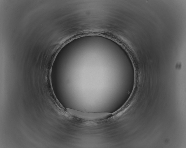 X0000091991161200710041124