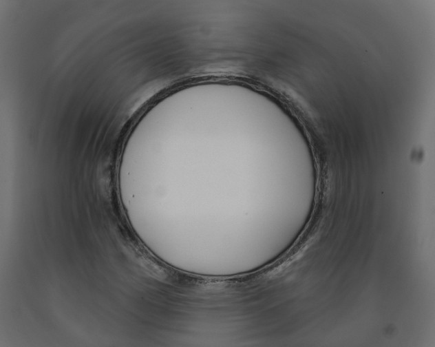 X0000091991162200710041124