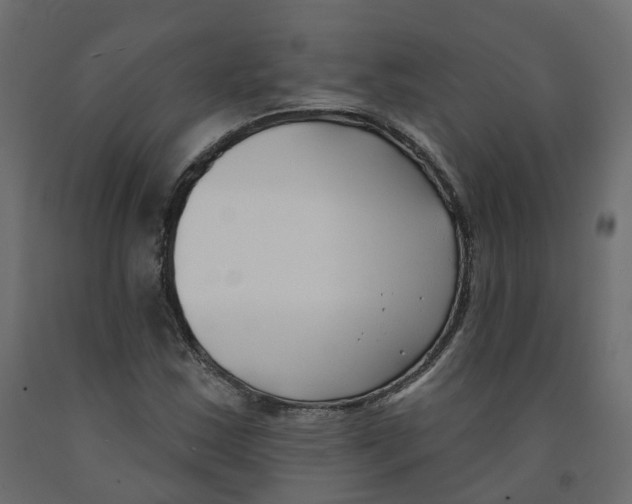 X0000091991163200710041124