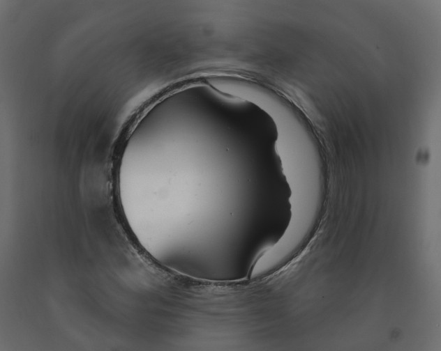 X0000091991164200710041124