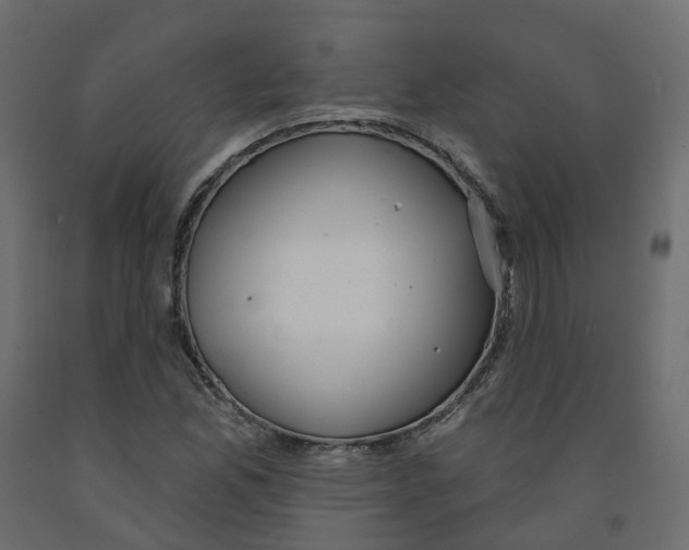 X0000091991165200710041124