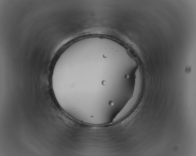 X0000091991166200710041124