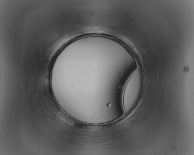 X0000091991167200710041124