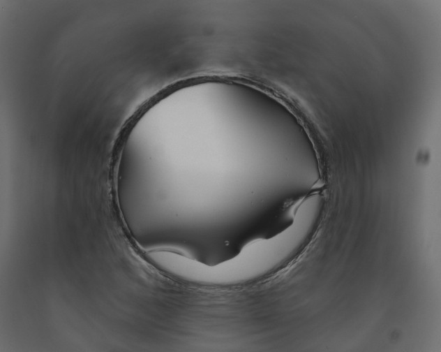 X0000091991168200710041124